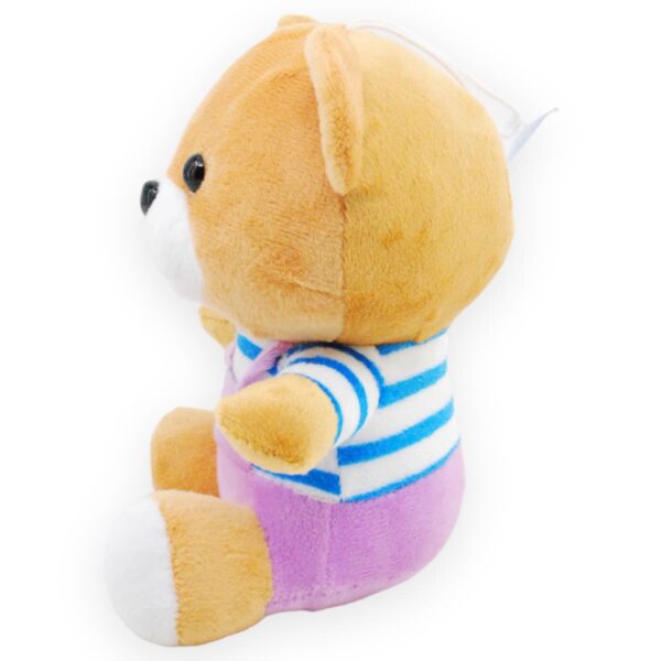 Osito de peluche café playera azul 3