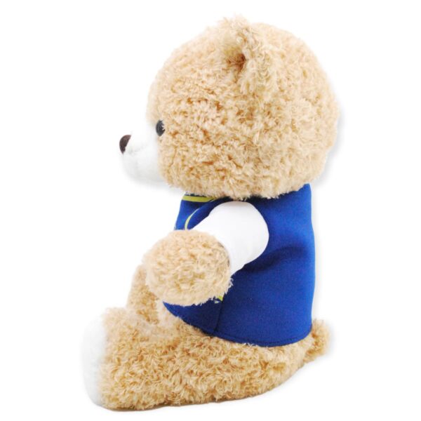 oso de peluche café playera azul 3