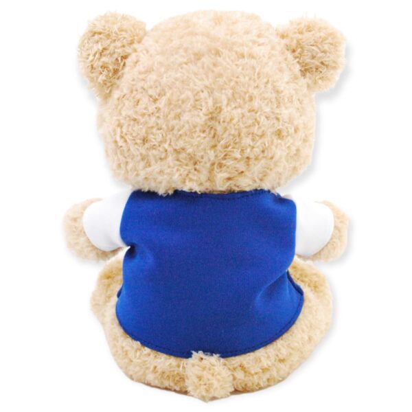 oso de peluche café playera azul 4