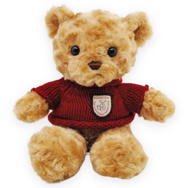 oso de peluche cafe sueter rojo 2