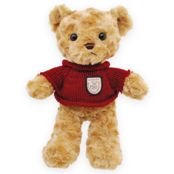 oso de peluche cafe sueter rojo