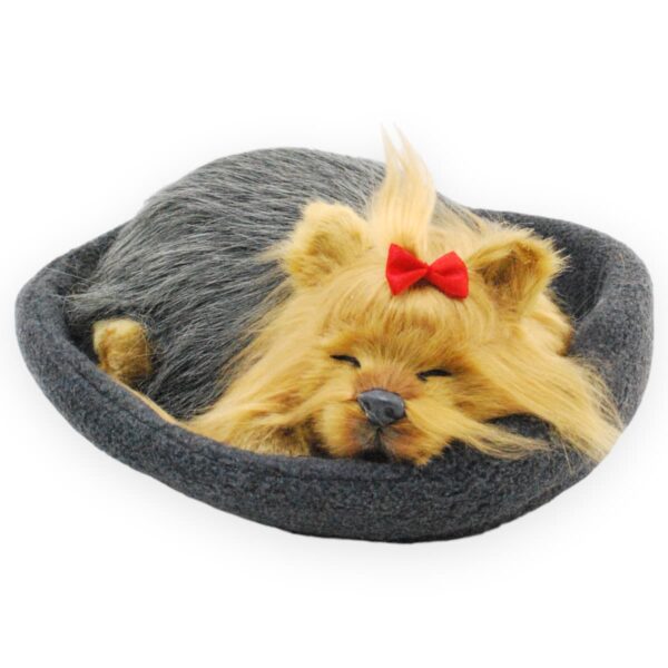 perro de peluche yorkie dormido 2