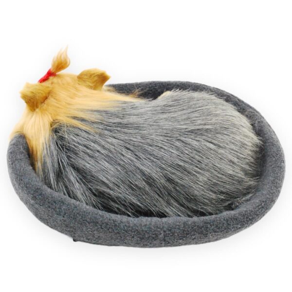 perro de peluche yorkie dormido 4