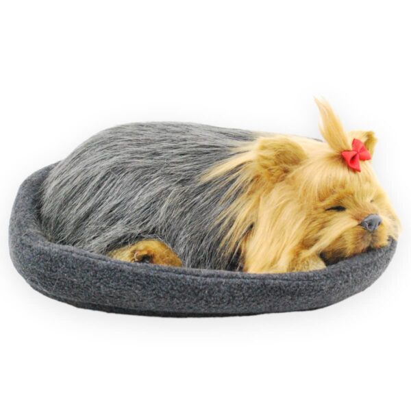 perro de peluche yorkie dormido