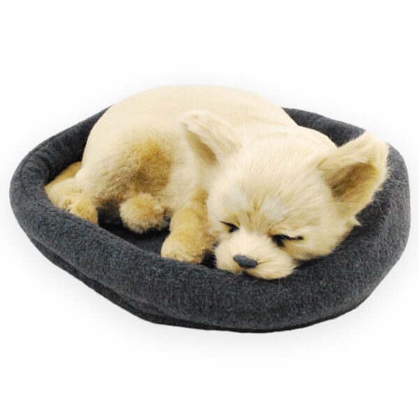 perro chihuahua de peluche durmiendo 2