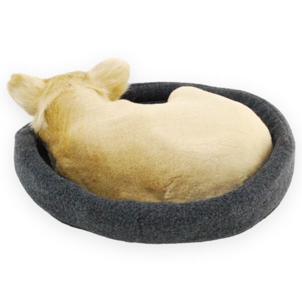 perro chihuahua de peluche durmiendo 3