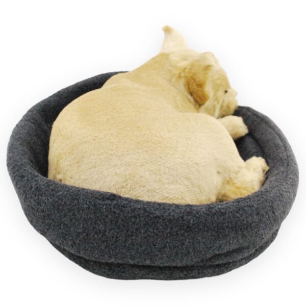 perro chihuahua de peluche durmiendo 4