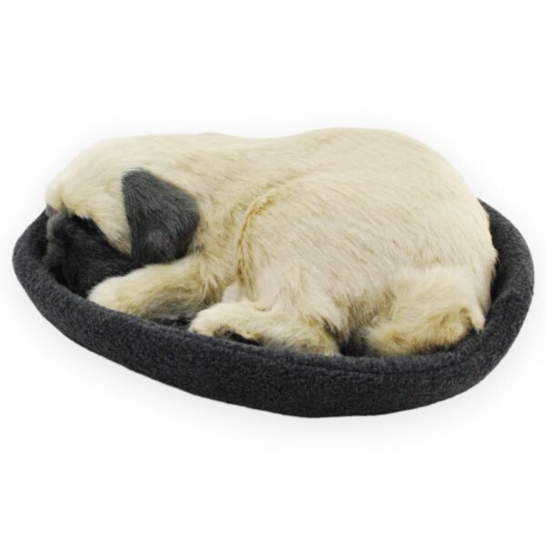 perro pug de peluche durmiendo café 2