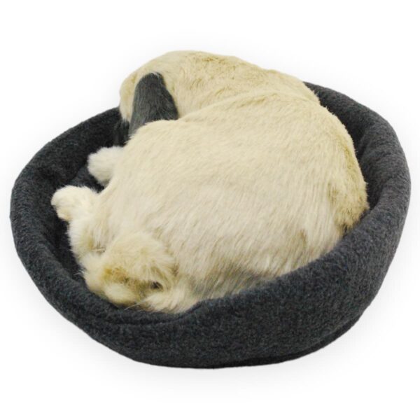 perro pug de peluche durmiendo café 3